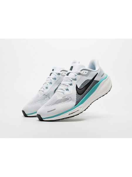 Кроссовки Nike Air Zoom Pegasus 41