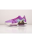 Кроссовки Nike Lebron Witness VII