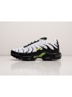 Кроссовки Nike Air Max Plus TN