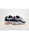 Кроссовки Nike Air Max Plus TN