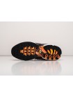 Кроссовки Nike Air Max Plus TN