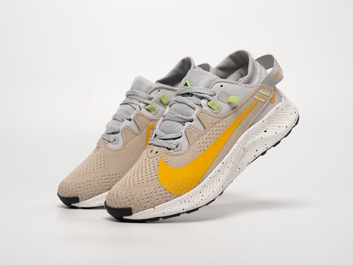 Кроссовки Nike Pegasus Trail 2