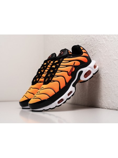 Кроссовки Nike Air Max Plus TN