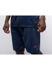 Футбольная форма Nike FC PSG