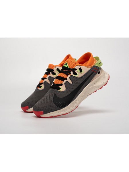 Кроссовки Nike Pegasus Trail 2