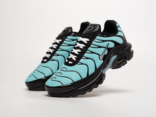 Кроссовки Nike Air Max Plus TN