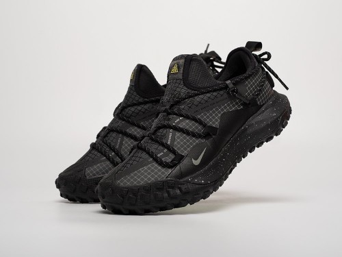 Кроссовки Nike ACG Mountain Fly Low