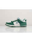 Кроссовки Nike Dunk Low Disrupt 2