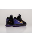 Кроссовки Nike Lebron Witness V