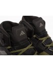 Кроссовки Adidas Terrex Skychaser Tech Mid Gtx