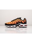 Кроссовки Nike Air Max Plus TN