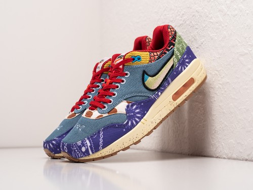 Кроссовки Concepts x Nike Air Max 1