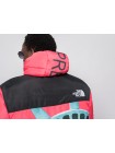 Куртка зимняя The North Face x Supreme