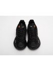 Кроссовки Nike ACG Mountain Fly 2 Low