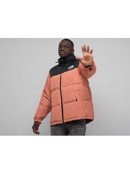 Куртка The North Face x Gucci