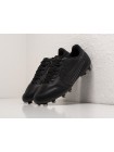 Футбольная обувь Nike Tiempo Legend IX Elite FG