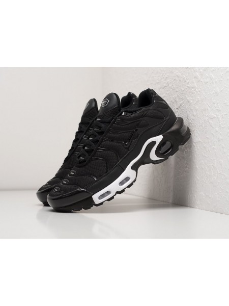 Кроссовки Nike Air Max Plus TN