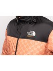 Куртка The North Face x Gucci