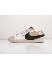 Кроссовки Nike Blazer Low 77 Jumbo