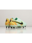 Футбольная обувь Nike Tiempo Legend IX Elite FG