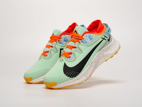 Кроссовки Nike Pegasus Trail 2