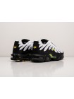 Кроссовки Nike Air Max Plus TN