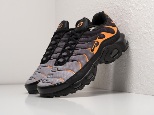 Кроссовки Nike Air Max Plus TN