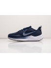 Кроссовки Nike Zoom Winflo 9