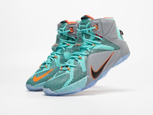 Кроссовки Nike Lebron 12