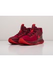 Кроссовки Nike Lebron Witness V