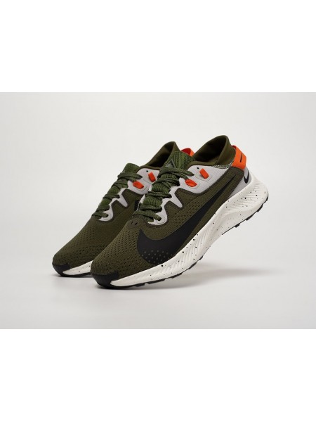 Кроссовки Nike Pegasus Trail 2