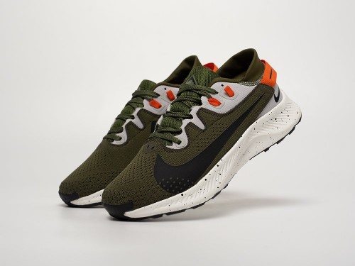 Кроссовки Nike Pegasus Trail 2