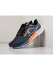 Кроссовки Nike Air Zoom Pegasus 39