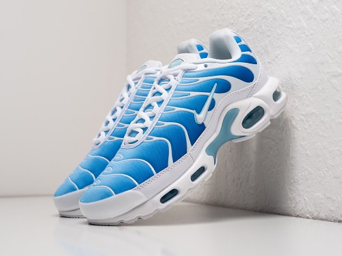 Кроссовки Nike Air Max Plus TN