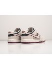 Кроссовки Nike SB Dunk Low