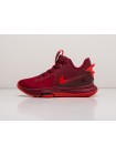 Кроссовки Nike Lebron Witness V