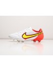 Футбольная обувь Nike Tiempo Legend IX Elite FG