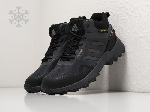 Зимние Ботинки Adidas Terrex Swift R3