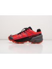 Кроссовки Salomon SPEEDCROSS 5 GTX