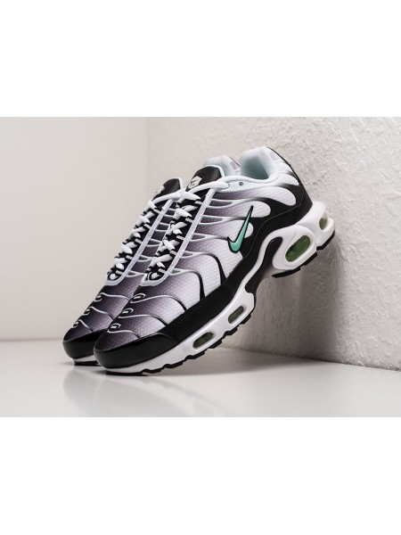 Кроссовки Nike Air Max Plus TN