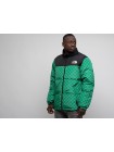 Куртка The North Face x Gucci