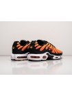 Кроссовки Nike Air Max Plus TN