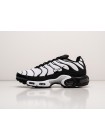 Кроссовки Nike Air Max Plus TN