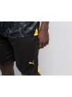 Футбольная форма Puma FC BVB