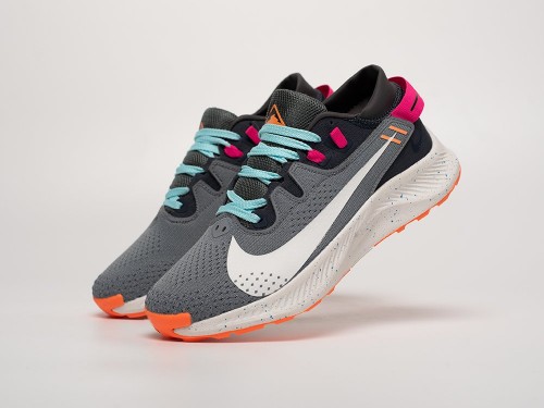 Кроссовки Nike Pegasus Trail 2