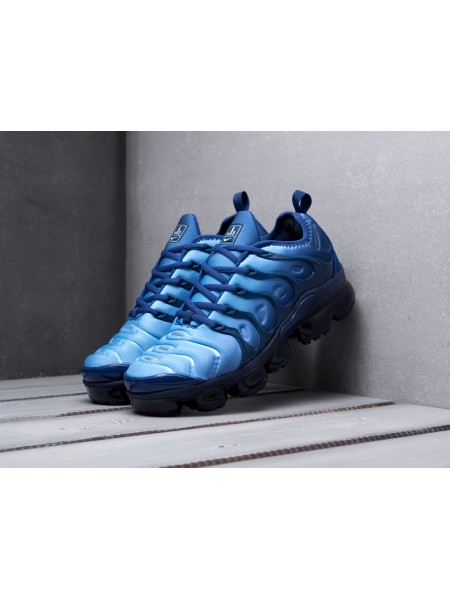 Кроссовки Nike Air VaporMax Plus