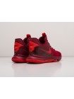 Кроссовки Nike Lebron Witness V