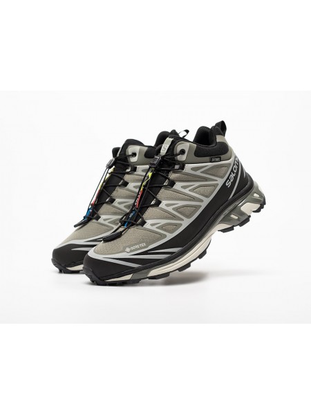 Зимние Кроссовки Salomon ADVANCED XT-6 ADV Mid