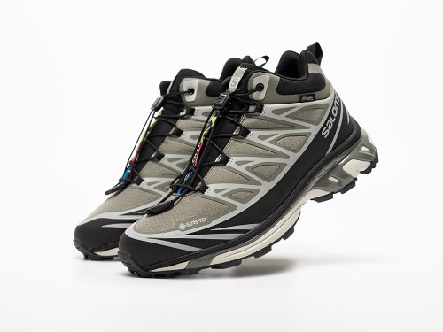 Зимние Кроссовки Salomon ADVANCED XT-6 ADV Mid