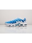 Кроссовки Nike Air Max Plus TN